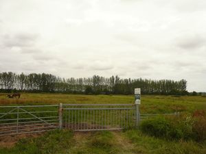 Land at The Drove, Westmarsh, Canterbury CT3 2LP - For Sale Westmarsh Canterbury Kent CT3 2LP - Angela Hirst - Estate Agents and Chartered Surveyors Farm and Land Agency in Kent and East Sussex